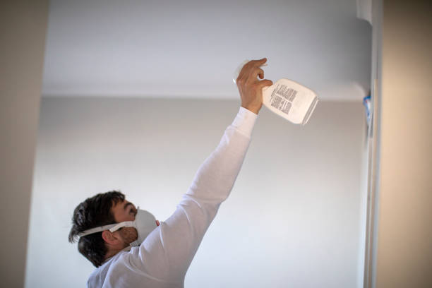 Best Home Mold Removal  in Edmore, MI