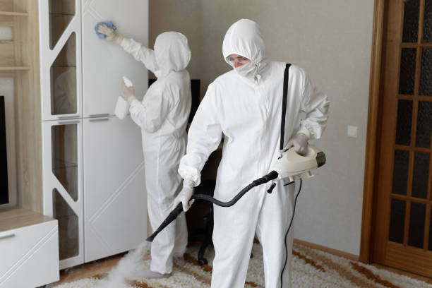 Best Affordable Mold Removal  in Edmore, MI