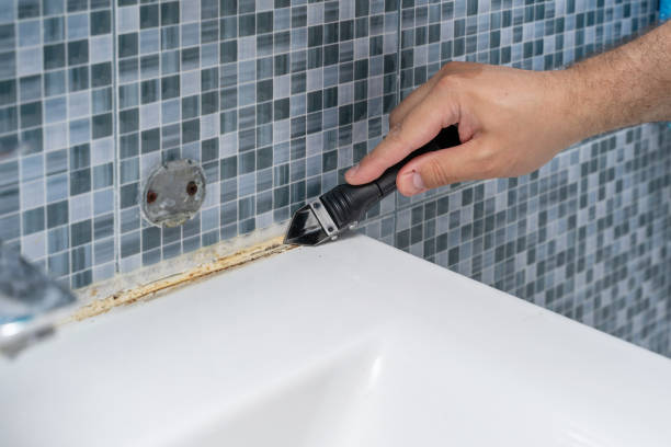 Best Toxic Mold Removal  in Edmore, MI